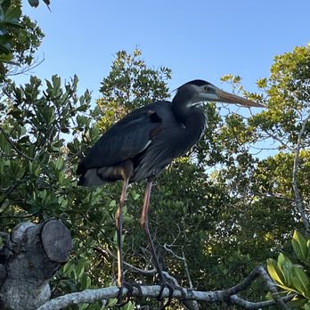 Quick Point Nature Preserve - Parks Near Me - Longboat Key, Florida