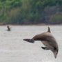 Island Tours of Galveston