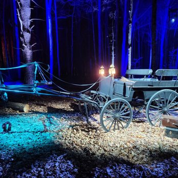 Harry Potter - A Forbidden Forest Experience - Walking Tours Near Me - Yorktown Heights, New York Harry Potter - A Forbidden Forest Experience - Walking Tours Near Me - Yorktown Heights, New York