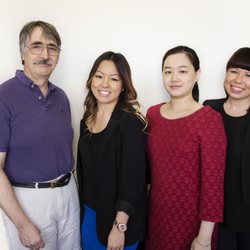 Brian Tipper CPA, CA - The staff