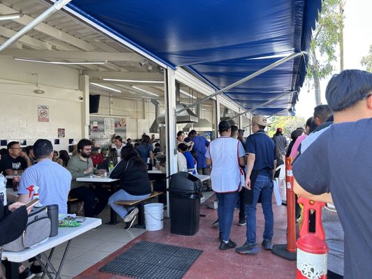 Tacos El Franc by null