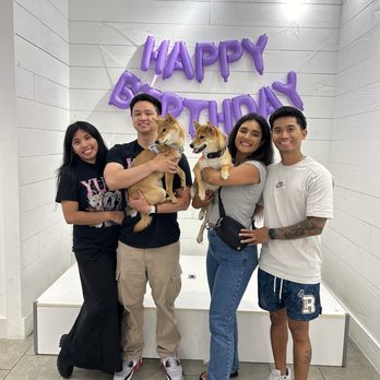 Dog Bar - Dog Parks Near Me - Pleasanton, California Dog Bar - Dog Parks Near Me - Pleasanton, California