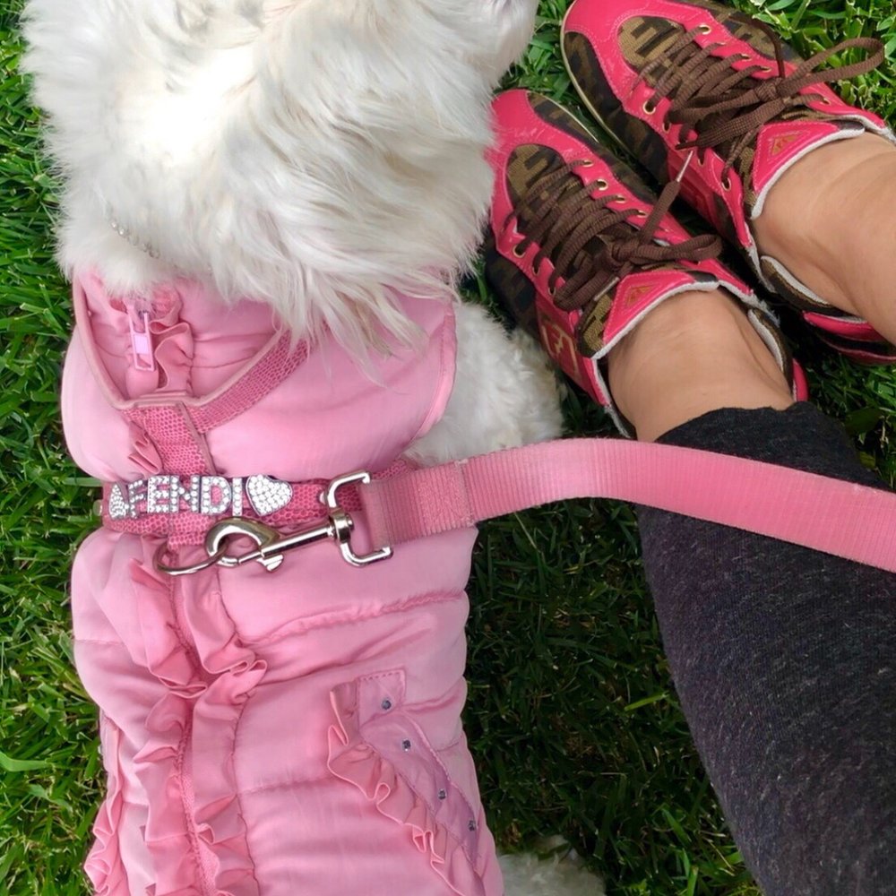 Beverly Canon Gardens - Out for a walk earlier furbabe Fendi and my Fendi's - Parks Near Me - Beverly Hills, California