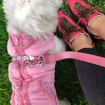 Beverly Canon Gardens - Out for a walk earlier furbabe Fendi and my Fendi's - Parks Near Me - Beverly Hills, California Beverly Canon Gardens - Out for a walk earlier furbabe Fendi and my Fendi's - Parks Near Me - Beverly Hills, California