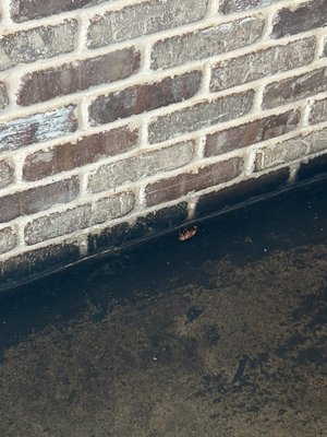 ZAAP Kitchen of Casa Linda by null