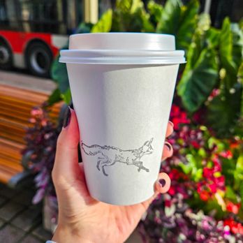 Little Victories Coffee Roasters - Drink to go (Chai latte) - Coffee & Tea Near Me - Ottawa, Ontario Little Victories Coffee Roasters - Drink to go (Chai latte) - Coffee & Tea Near Me - Ottawa, Ontario