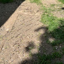 Yard damage