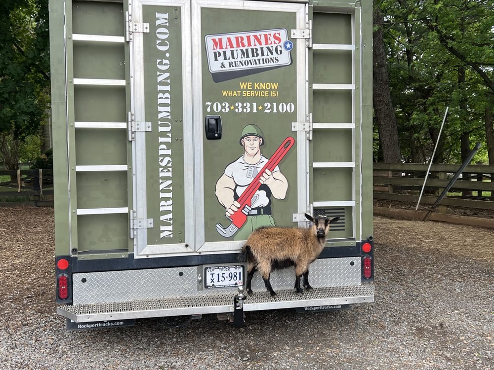 Slide of Marines Service Co - Winchester