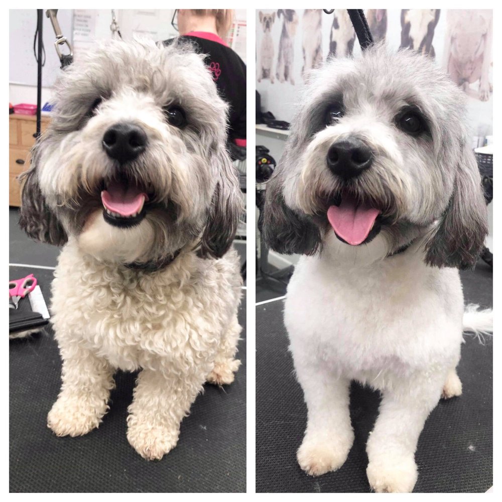 TOP TAILS PORTSMOUTH Updated March 2024 Request an Appointment 58