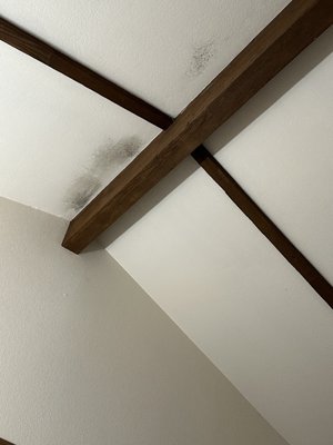 Der Ritterhof Inn by null