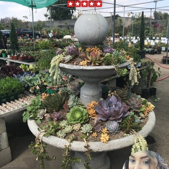 Ricardo's Nursery - Nurseries & Gardening Near Me - Long Beach, California Ricardo's Nursery - Nurseries & Gardening Near Me - Long Beach, California
