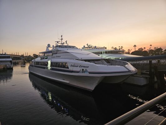 Catalina Express by null