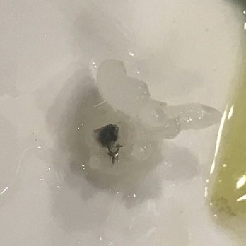 Sik Do Rak - what is that??? - Korean Near Me - Honolulu, Hawaii