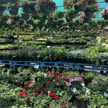 Lee's Produce and Garden - Flowers - Nurseries & Gardening Near Me - Clayton, North Carolina