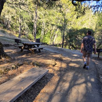 Mount Tamalpais State Park - Parks Near Me - Mill Valley, California