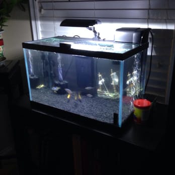 Bob's Tropical Fish - :) - Local Fish Stores Near Me - Los Angeles, California