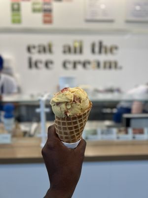 Sweet Science Ice Cream by null