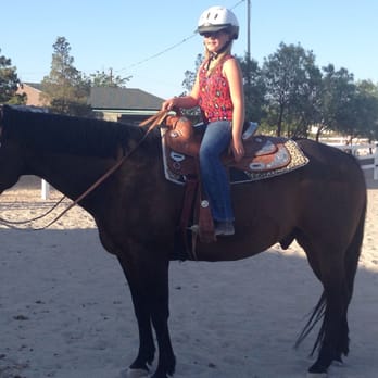 Wrench D Horseshoeing - King. One of Trent's clients. - Pet Services Near Me Wrench D Horseshoeing - King. One of Trent's clients. - Pet Services Near Me