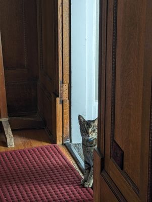 Ember Hostel by null