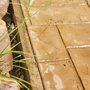 Photo of Concrete Impressions