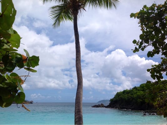 Caneel Bay Resort by null