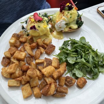Evviva Breakfast & Lunch - Eggs Florentine eight edible flowers - Breakfast & Brunch Near Me - Toronto, Ontario Evviva Breakfast & Lunch - Eggs Florentine eight edible flowers - Breakfast & Brunch Near Me - Toronto, Ontario