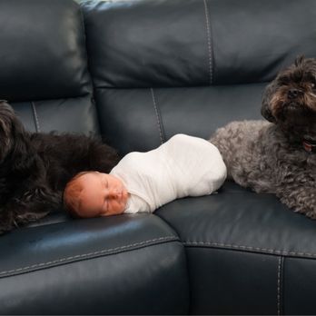 Jenny May Stringer Photography - Pet Photography Near Me