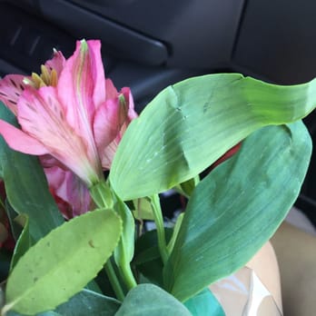 Rocklin Florist - Disappointed - Florists Near Me - Rocklin, California Rocklin Florist - Disappointed - Florists Near Me - Rocklin, California
