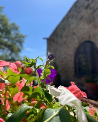 Mission San Francisco De La Espada Catholic Church by null