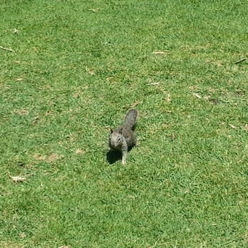 La Jolla Cove - New friend :) - Parks Near Me - La Jolla, California La Jolla Cove - New friend :) - Parks Near Me - La Jolla, California