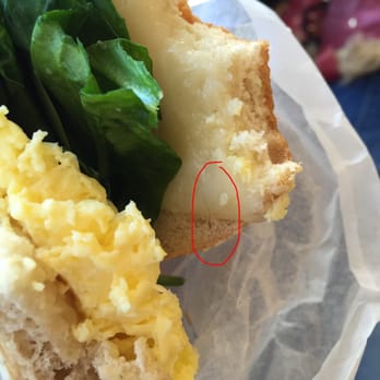 Pavement Coffeehouse - A veggie sunrise with a hair in it. 2-12-2016 - Coffee & Tea Near Me - Boston, Massachusetts Pavement Coffeehouse - A veggie sunrise with a hair in it. 2-12-2016 - Coffee & Tea Near Me - Boston, Massachusetts