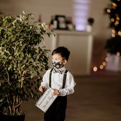 San Diego Interior Foliage - Trees, twinkle lights, and black planters from San Diego Interior Foliage