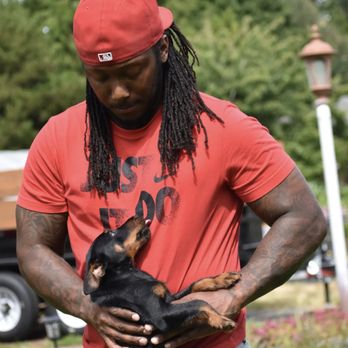 Timeless K9 Boarding And Training - Pet Training Near Me - Tacoma, Washington