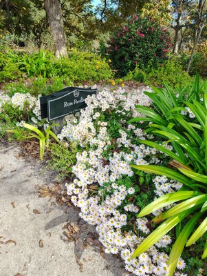 Hampton Park by null