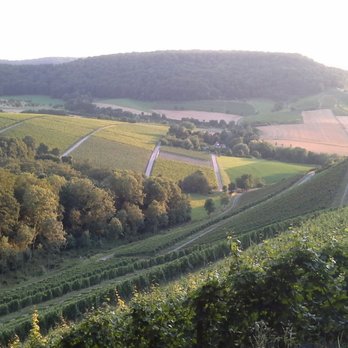 Schönste Weinsicht - Local Flavor Near Me - Castell, BY