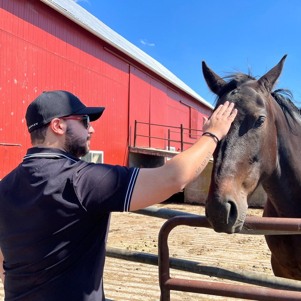 Buggy Lane Tours - Petting a farm horse - Tours Near Me - Shipshewana, Indiana Buggy Lane Tours - Petting a farm horse - Tours Near Me - Shipshewana, Indiana