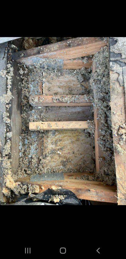 Slide of Rescue Roofer