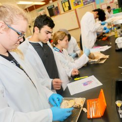 Bayhill High School - Biology lab