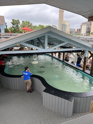 Manatee Viewing Center by null