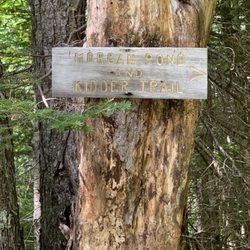 Morgan Pond Trail - It is clearly marked
