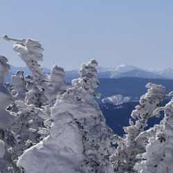 Saddleback Mountain - View towards Mt. Washington