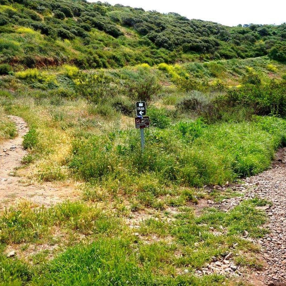 Copper Creek Falls Trail - Restricted Access - Stay to the right! If you veer off to the left it's totally different trail and it goes around the hill and up it's a lot harder. - Hiking Near Me - San Marcos, California Copper Creek Falls Trail - Restricted Access - Stay to the right! If you veer off to the left it's totally different trail and it goes around the hill and up it's a lot harder. - Hiking Near Me - San Marcos, California