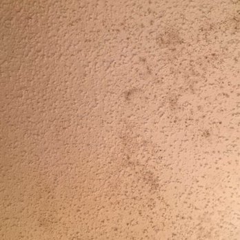 Village Inn Hotel - Moldy bathroom ceiling - Hotels Near Me - Springfield, Oregon Village Inn Hotel - Moldy bathroom ceiling - Hotels Near Me - Springfield, Oregon
