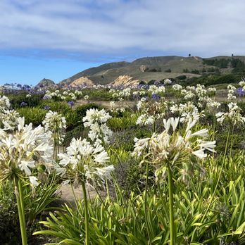 Montara State Beach - Parks Near Me - Montara, California