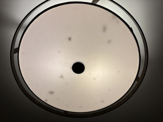 Boar's Head Resort by null