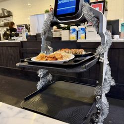 Ichiban Japanese Grill - Biscuit Bot Betty on time delivery!
