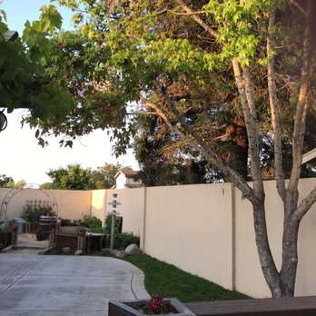 A B Tree Service - Tree Services Near Me - Salinas, California