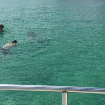 Flippers Dolphin Tours - Jet Skis Near Me - Panama City, Florida