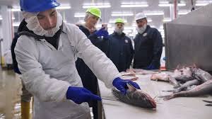Congressional Seafood - Wholesale Seafood Supplier by null