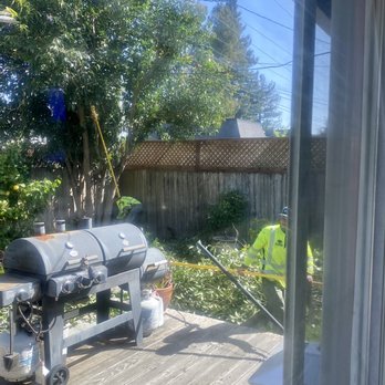 Benavidez - Tree Services Near Me Benavidez - Tree Services Near Me